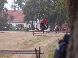 IMG_8341_web